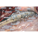 A gerincoszlop környéke a leszálló aortával, a gerincvelőidegekkel és a szimpatikus törzzsel