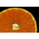 A keresztbe vágott narancstermés részei