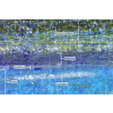 Feketefenyő ág sugárirányú hosszmetszetének fénymikroszkópos képe