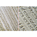 Erdeifenyő (Pinus silvestris) bőrszövetéről készült levonat fénymikroszkópos képe